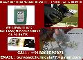 SSD SOLUTION CHEMICAL FOR CLEANING BLACK MONEY+918800595971 skelbimai